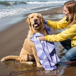 Microfiber pet towel